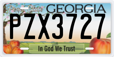 GA license plate PZX3727
