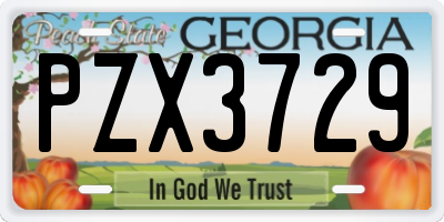 GA license plate PZX3729