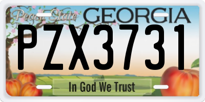 GA license plate PZX3731