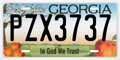 GA license plate PZX3737