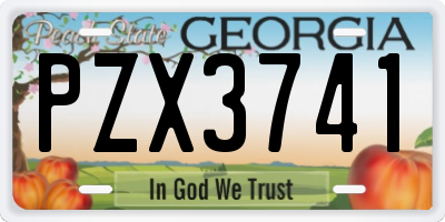 GA license plate PZX3741
