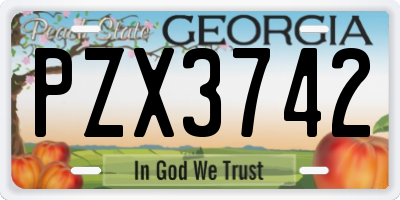 GA license plate PZX3742