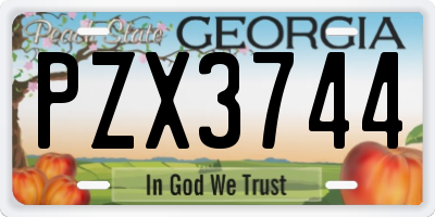 GA license plate PZX3744