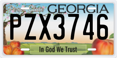 GA license plate PZX3746
