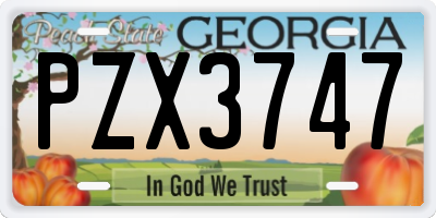 GA license plate PZX3747