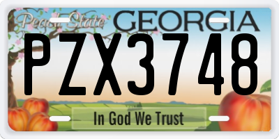 GA license plate PZX3748