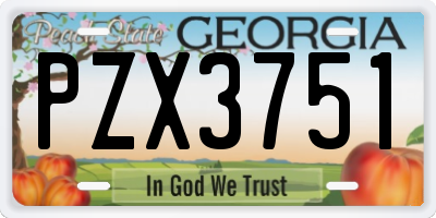 GA license plate PZX3751