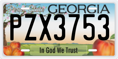 GA license plate PZX3753