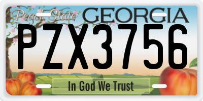 GA license plate PZX3756