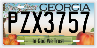 GA license plate PZX3757