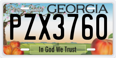 GA license plate PZX3760