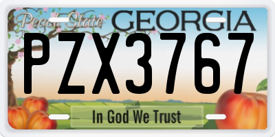 GA license plate PZX3767