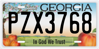 GA license plate PZX3768
