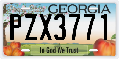 GA license plate PZX3771