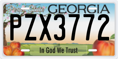 GA license plate PZX3772