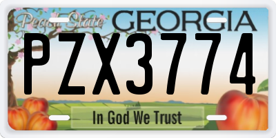 GA license plate PZX3774