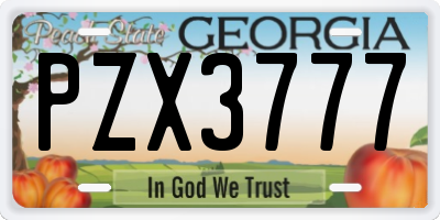 GA license plate PZX3777