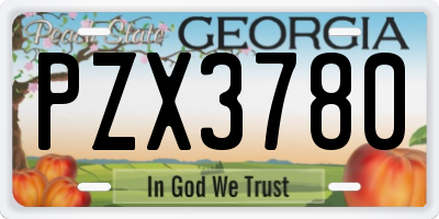 GA license plate PZX3780