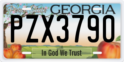 GA license plate PZX3790