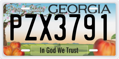GA license plate PZX3791