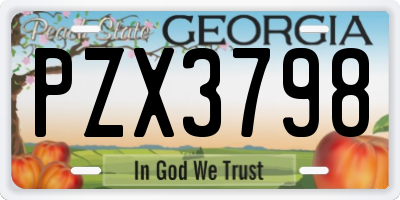 GA license plate PZX3798