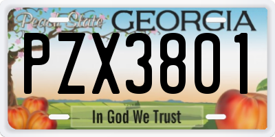 GA license plate PZX3801