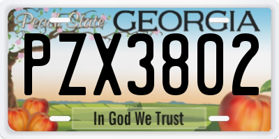 GA license plate PZX3802
