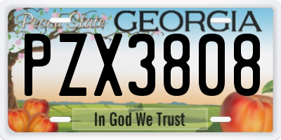 GA license plate PZX3808