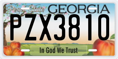 GA license plate PZX3810