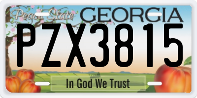 GA license plate PZX3815