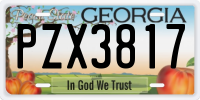 GA license plate PZX3817