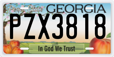 GA license plate PZX3818