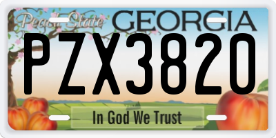 GA license plate PZX3820