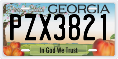 GA license plate PZX3821
