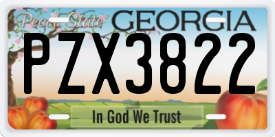 GA license plate PZX3822
