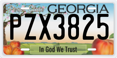 GA license plate PZX3825
