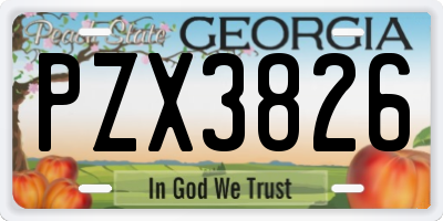 GA license plate PZX3826