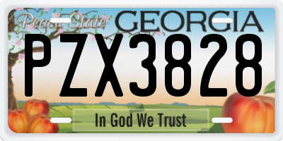 GA license plate PZX3828