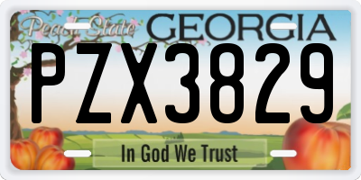 GA license plate PZX3829