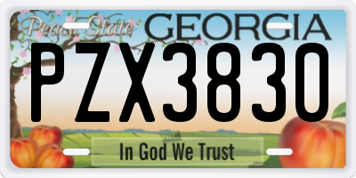GA license plate PZX3830