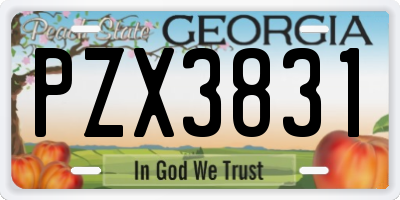 GA license plate PZX3831