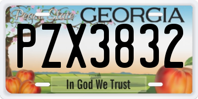 GA license plate PZX3832