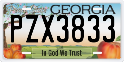 GA license plate PZX3833