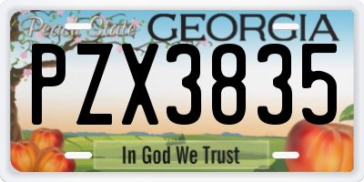 GA license plate PZX3835