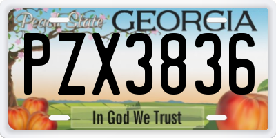 GA license plate PZX3836