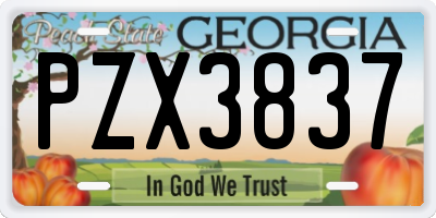 GA license plate PZX3837