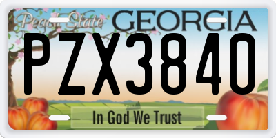 GA license plate PZX3840