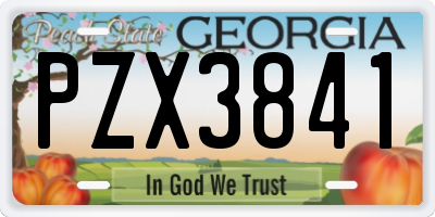 GA license plate PZX3841