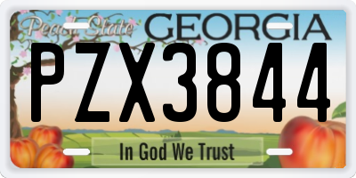 GA license plate PZX3844