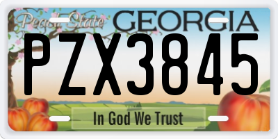 GA license plate PZX3845